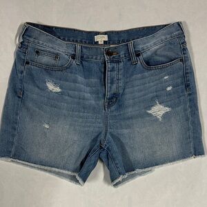 J. Crew Distressed Light Blue Jean Shorts Womens 31